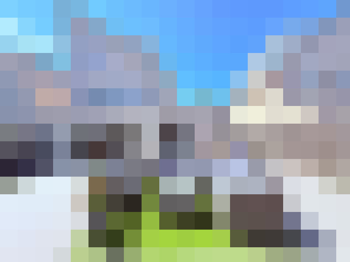 Image 40