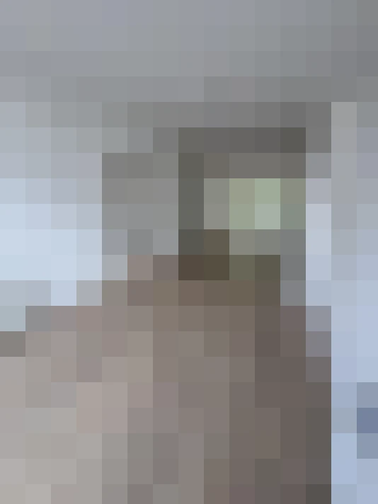 Image 22