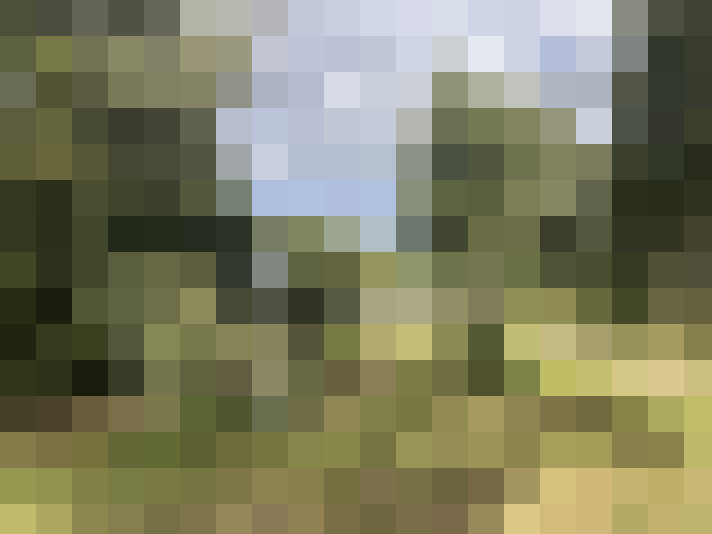 Image 20