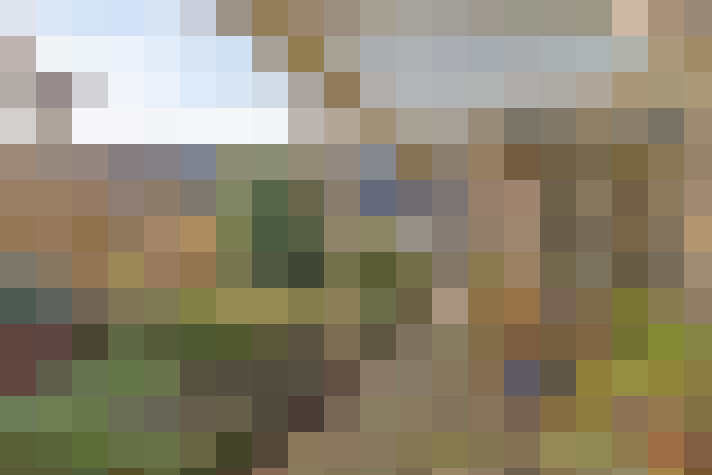 Image 24