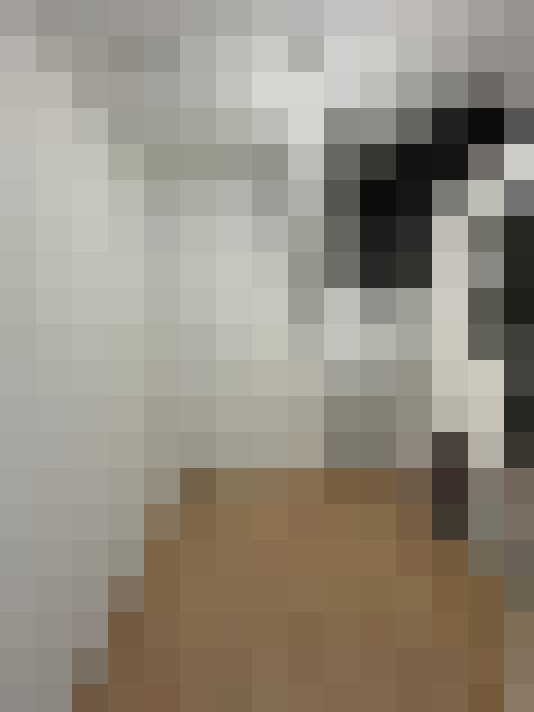 Image 20