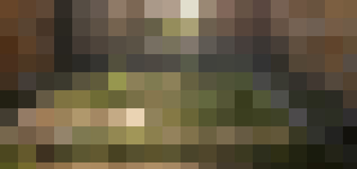 Image 28