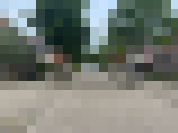 Image 20