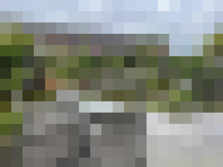 Image 50