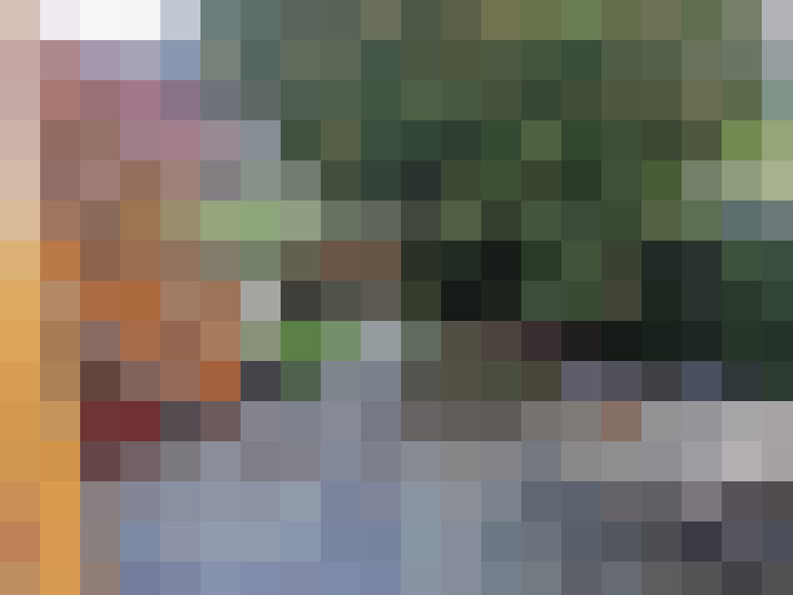 Image 27