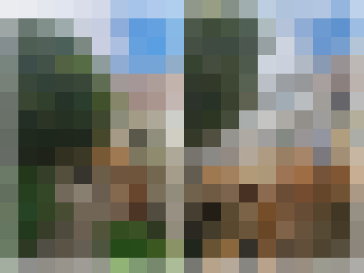 Image 29
