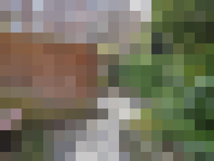Image 28