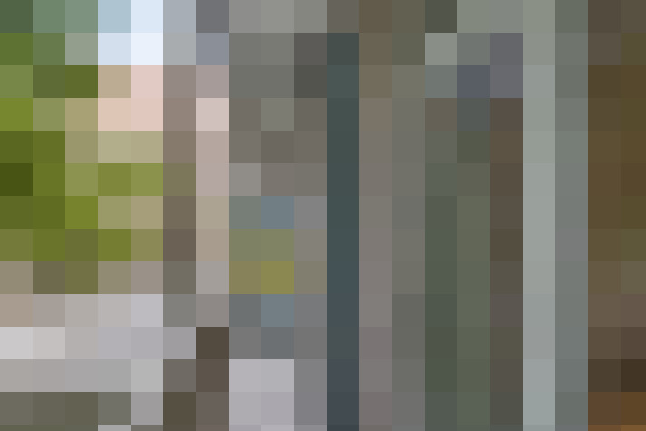 Image 14