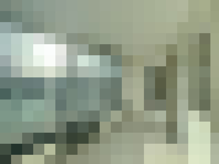 Image 13