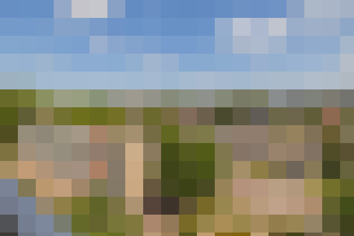Image 36