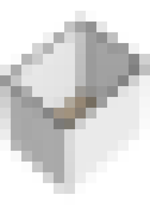 Image 40