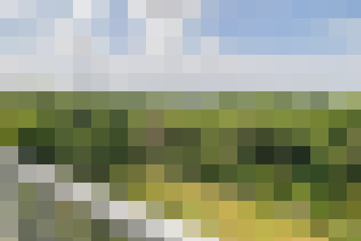 Image 31