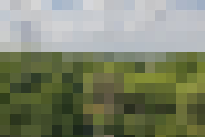 Image 33