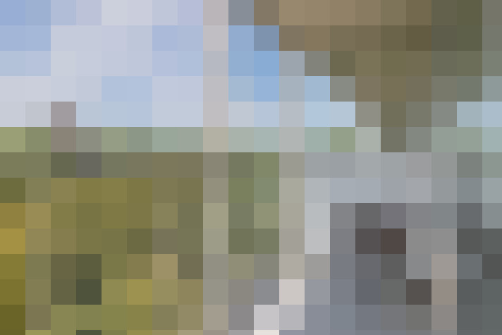 Image 30