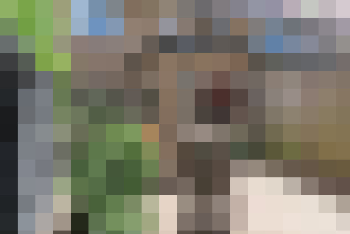Image 20