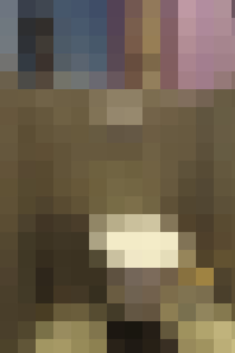 Image 15