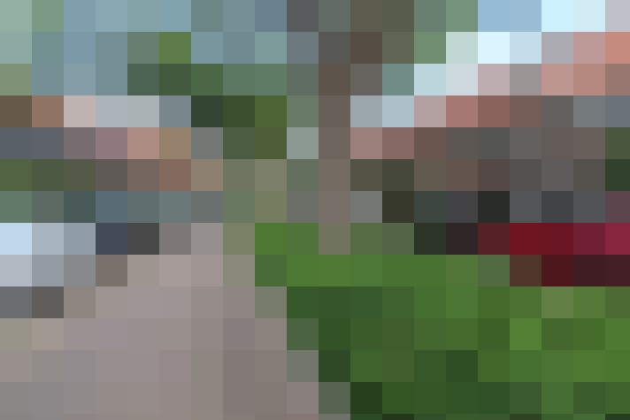 Image 22