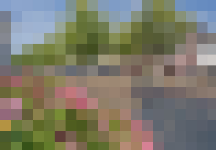 Image 23