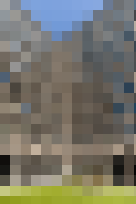 Image 13