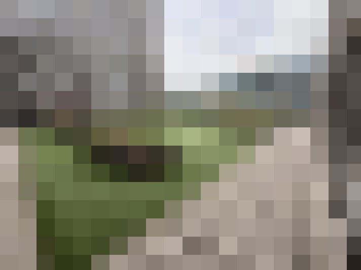 Image 28