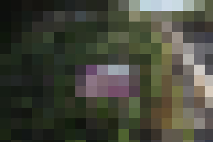 Image 42