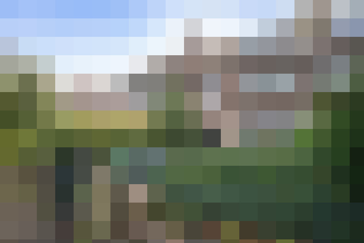 Image 23