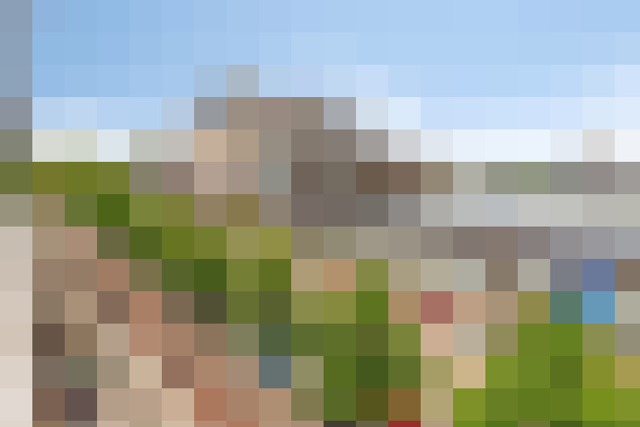 Image 21