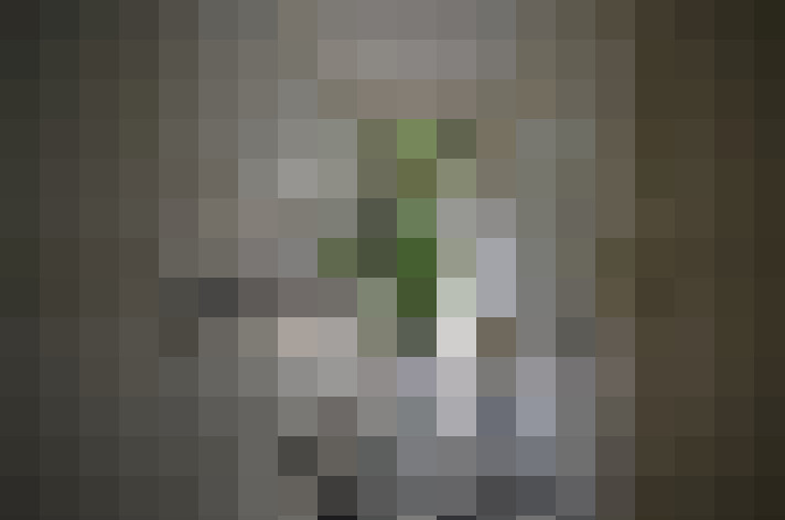 Image 14