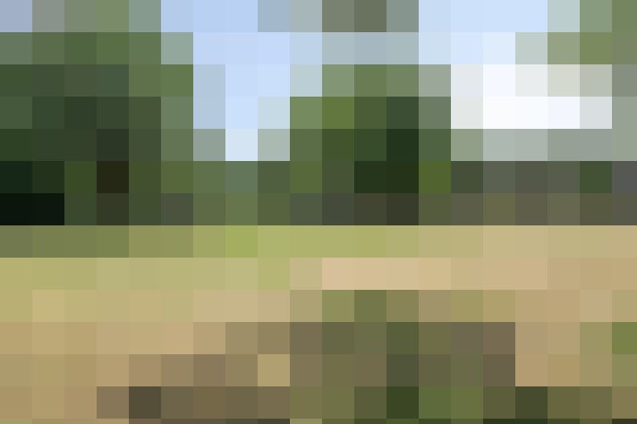 Image 26