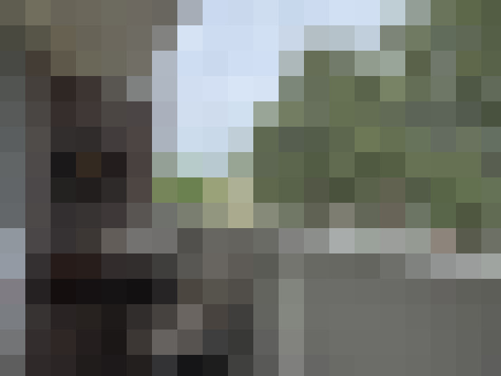 Image 15