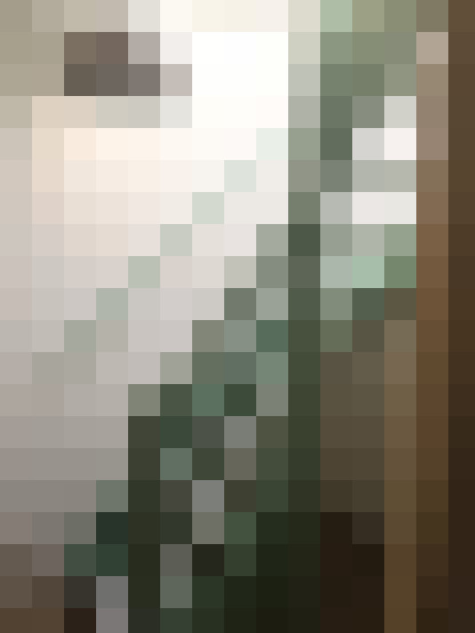 Image 29