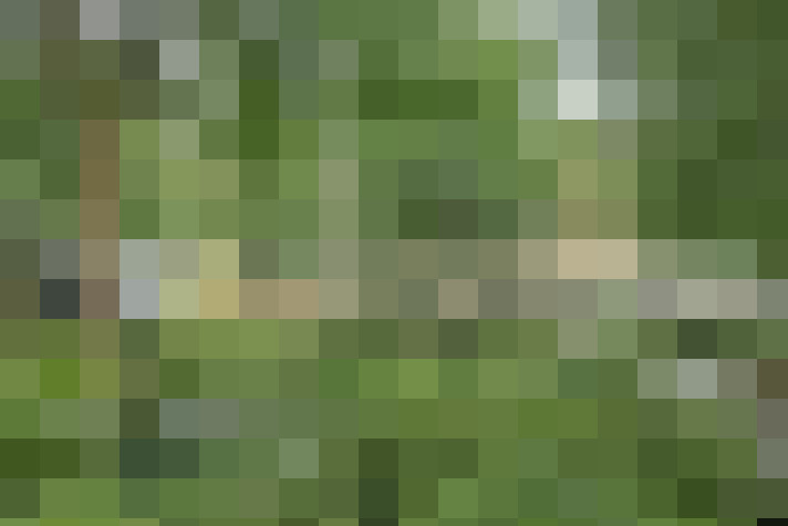 Image 18