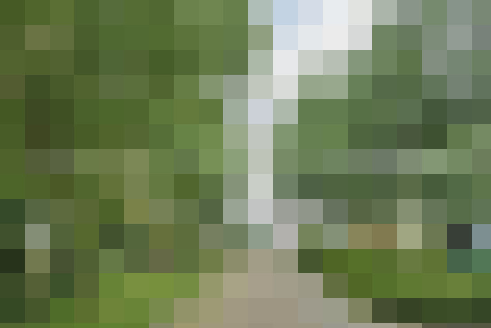 Image 16