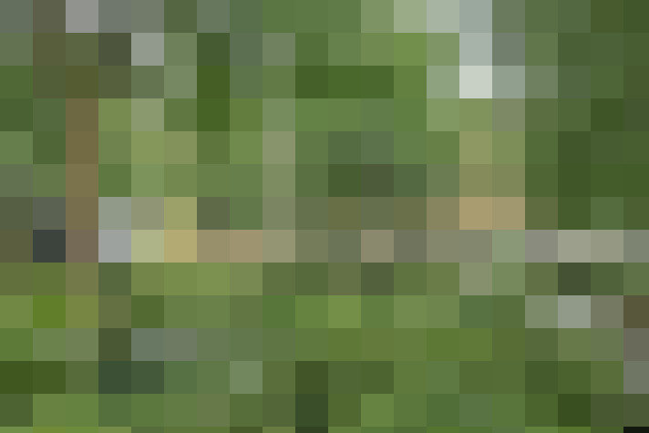 Image 17