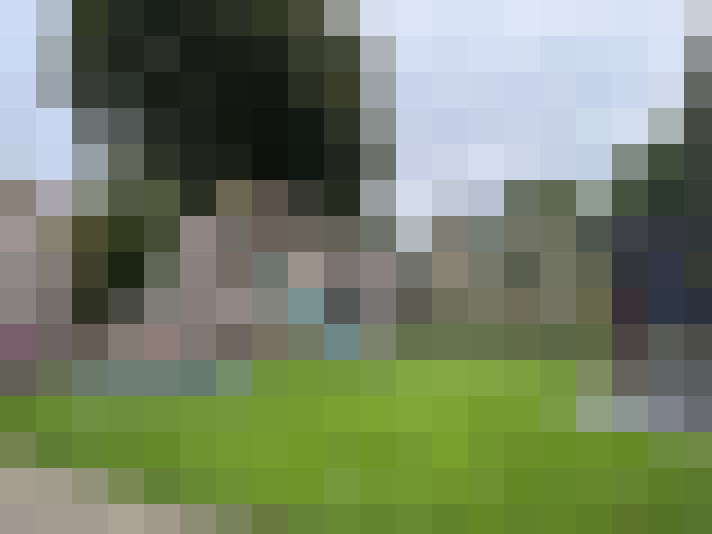 Image 14