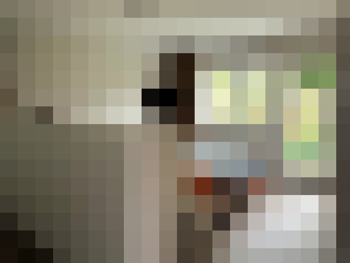 Image 29