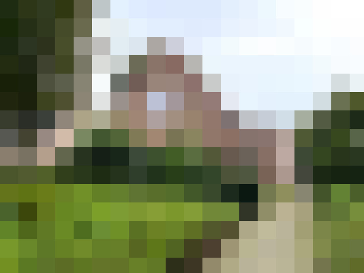 Image 33