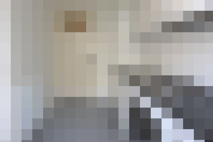 Image 17