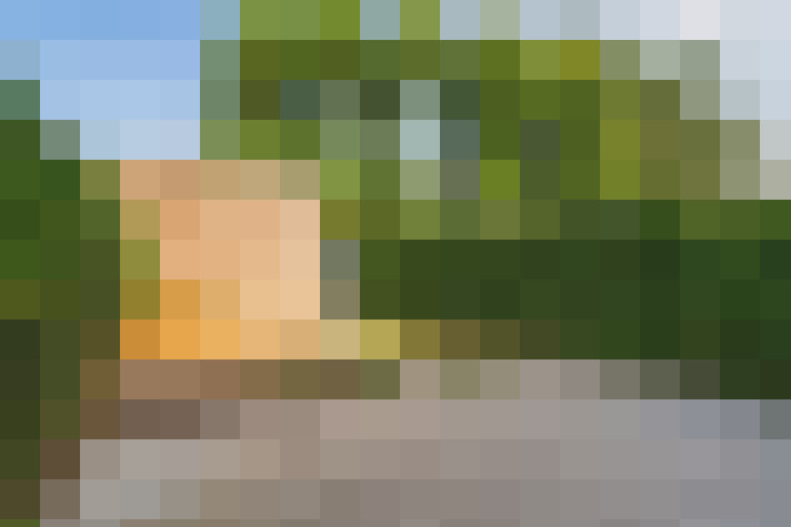 Image 17