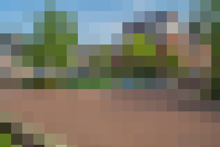 Image 45