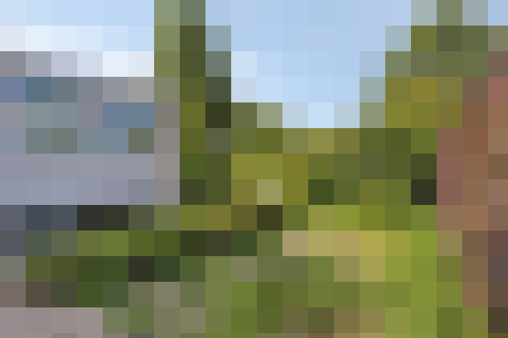 Image 44