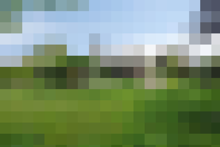 Image 50