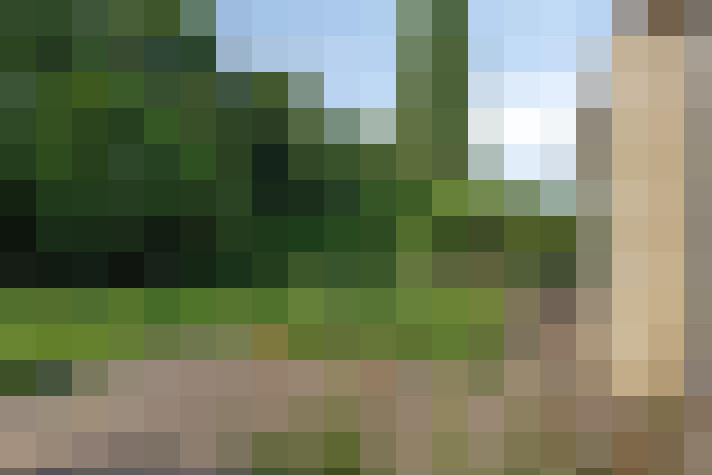 Image 49