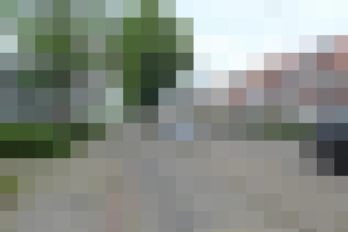 Image 13