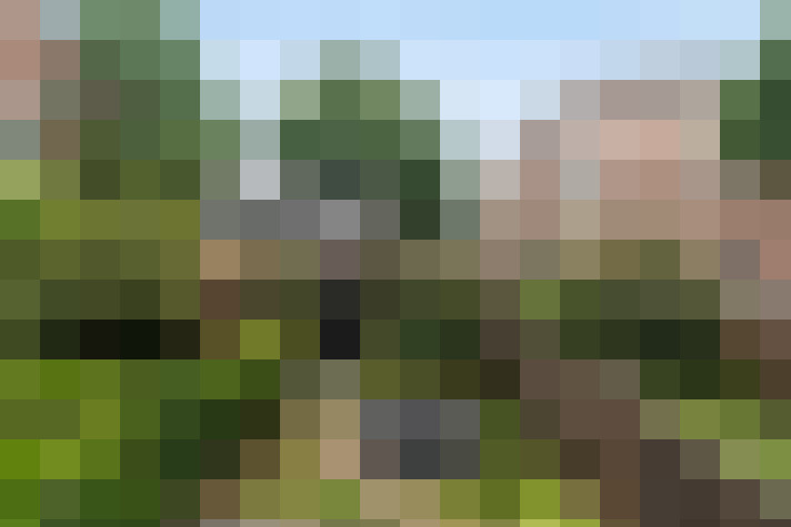 Image 36