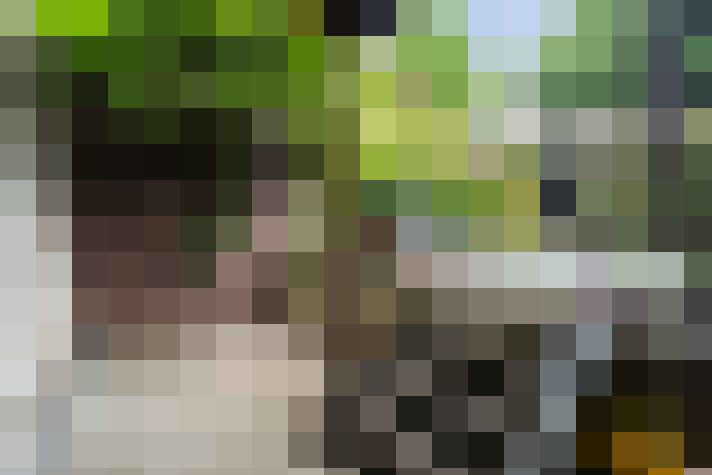 Image 35
