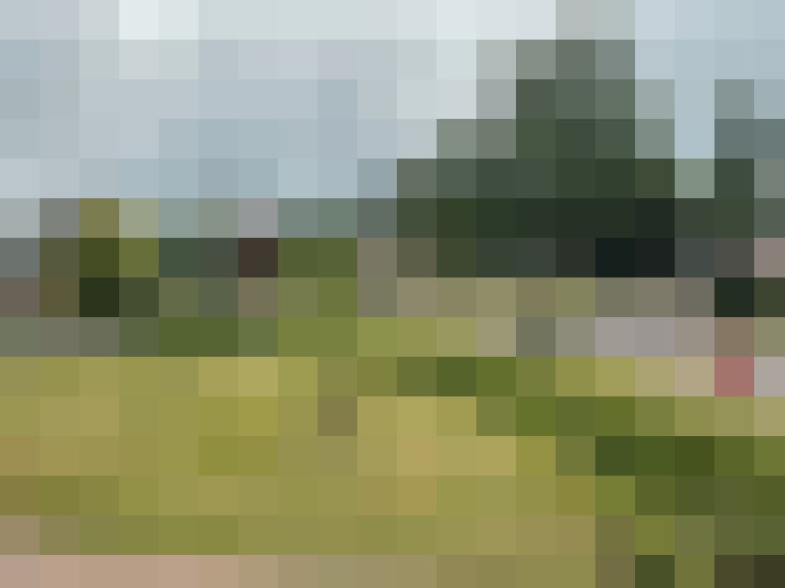 Image 30