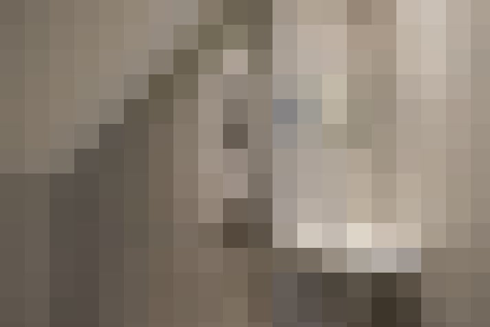 Image 22