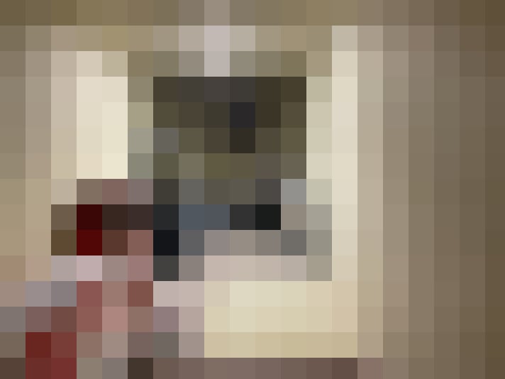 Image 29
