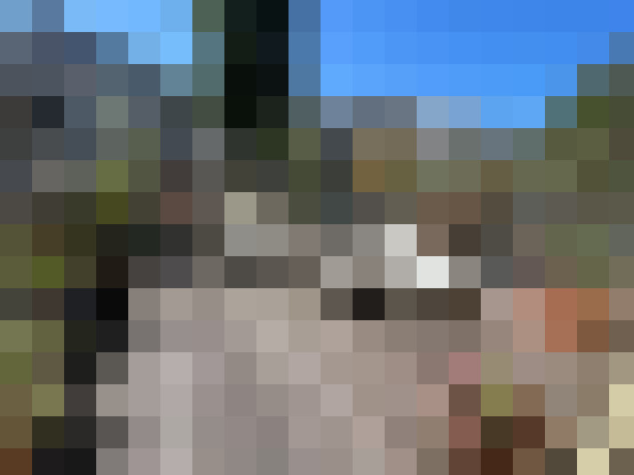 Image 36